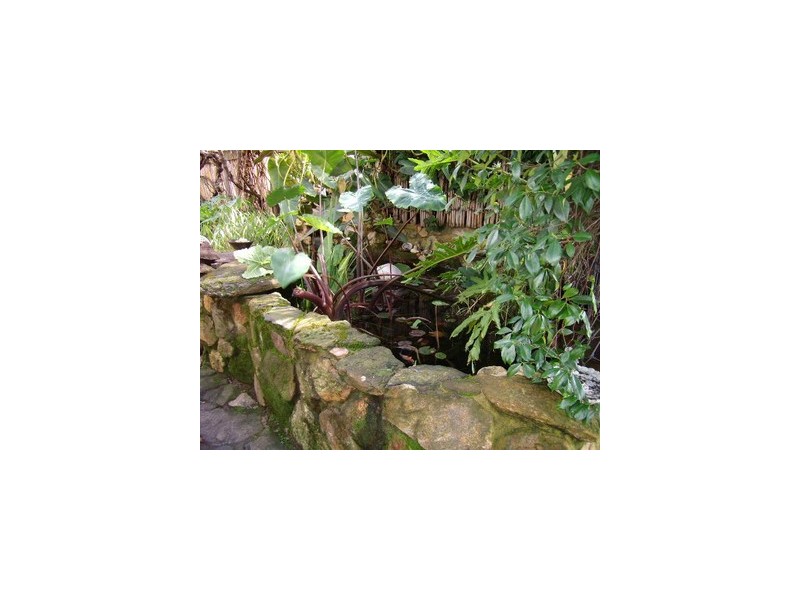 39 Warren Road, Nannup WA 6275