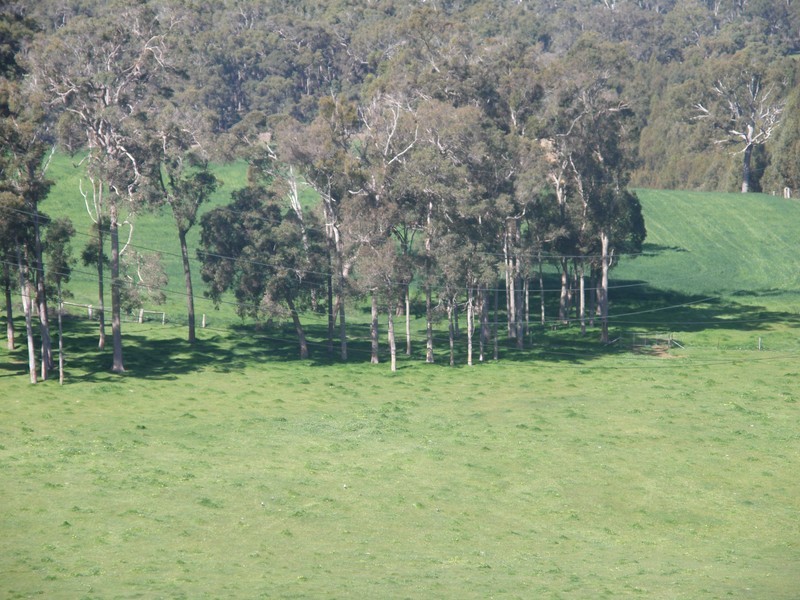 Lot 1343 Campbells Road, Bridgetown WA 6255