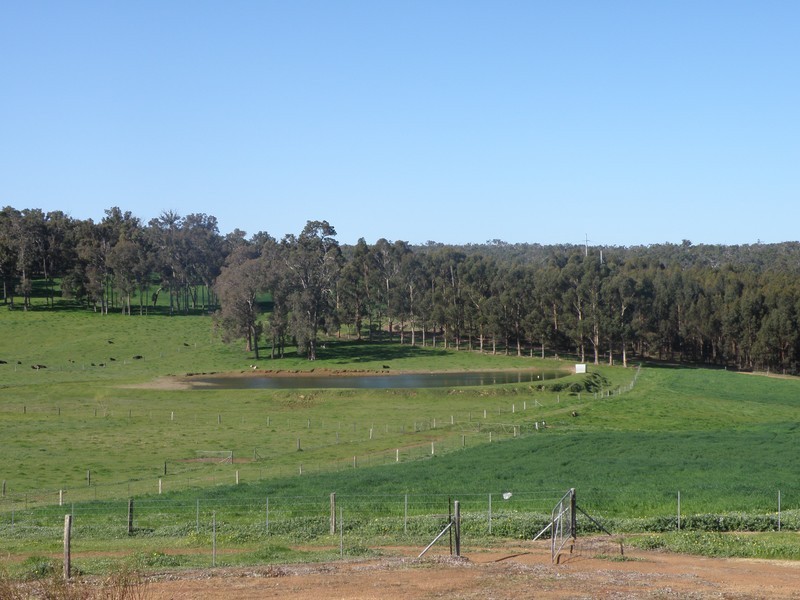 Lot 1343 Campbells Road, Bridgetown WA 6255