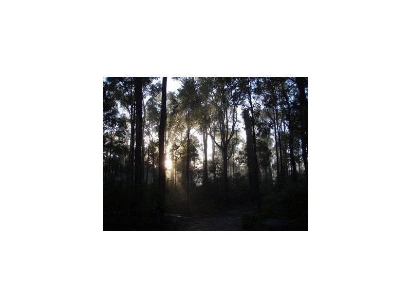 12 Orchid Place, Jalbarragup WA 6275