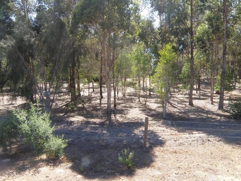 Lot 20 Blackwood River Drive, Nannup WA 6275
