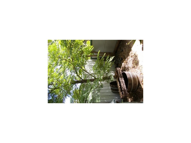 Lot 109 Warren Road, Nannup WA 6275