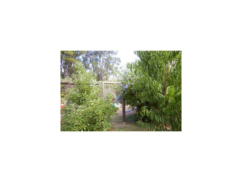 Lot 109 Warren Road, Nannup WA 6275