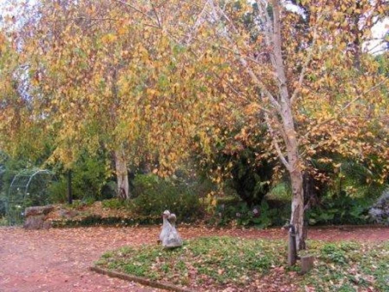 Lot 14 Grange Road, Nannup WA 6275