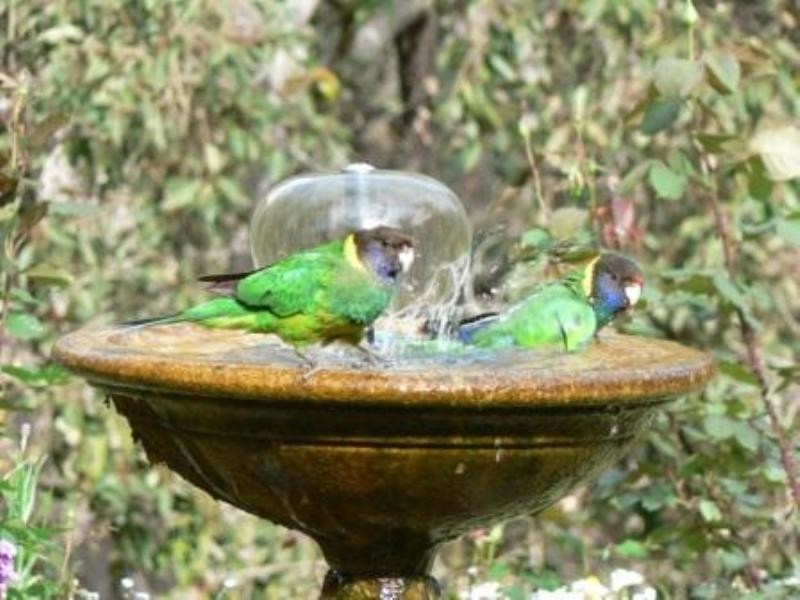 Lot 14 Grange Road, Nannup WA 6275