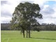 Lot 109 Dean Road, Nannup WA 6275