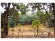 Lot 146 Struthers Street, Nannup WA 6275