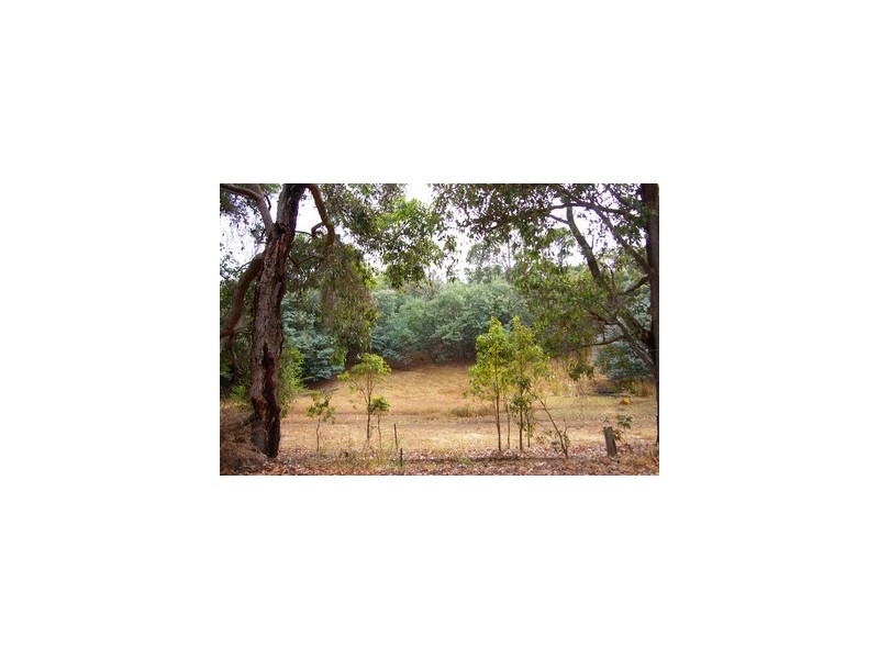 Lot 146 Struthers Street, Nannup WA 6275