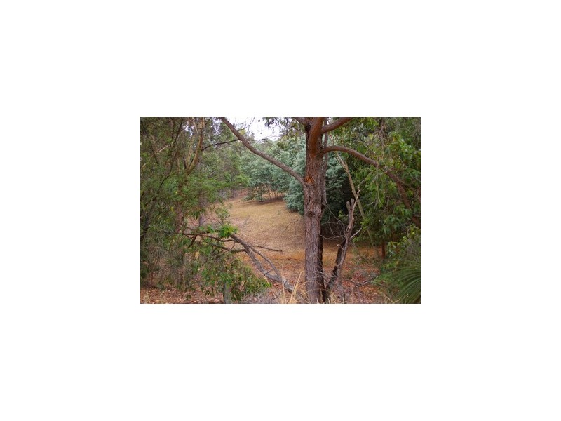 Lot 146 Struthers Street, Nannup WA 6275