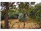 Lot 146 Struthers Street, Nannup WA 6275