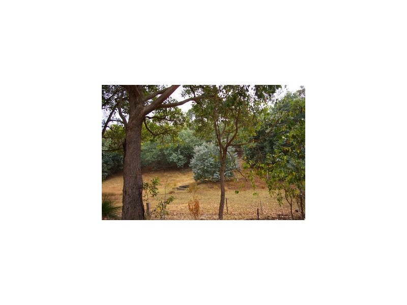 Lot 146 Struthers Street, Nannup WA 6275