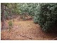 Lot 146 Struthers Street, Nannup WA 6275