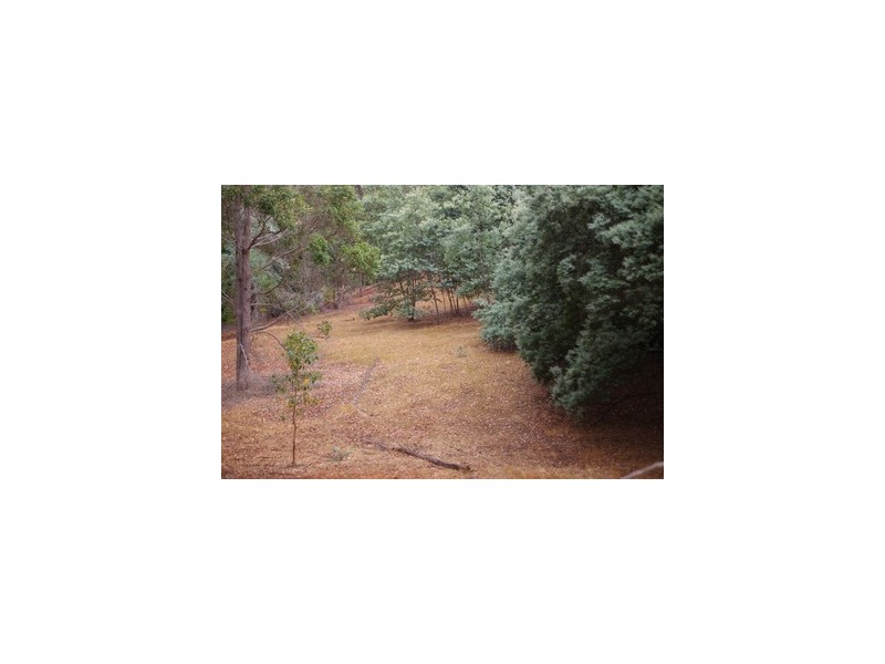 Lot 146 Struthers Street, Nannup WA 6275