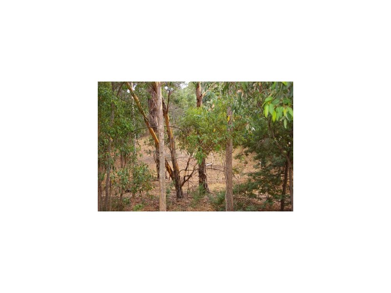 Lot 146 Struthers Street, Nannup WA 6275