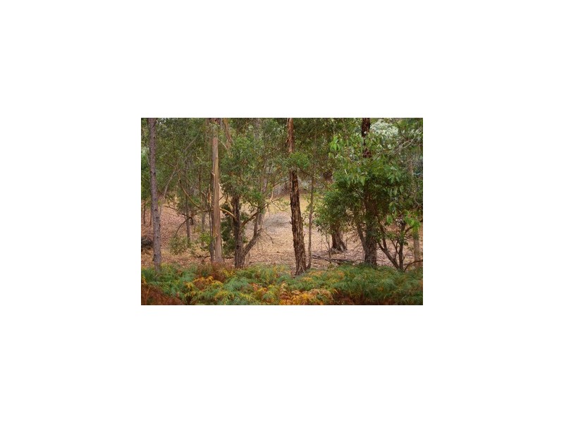 Lot 146 Struthers Street, Nannup WA 6275