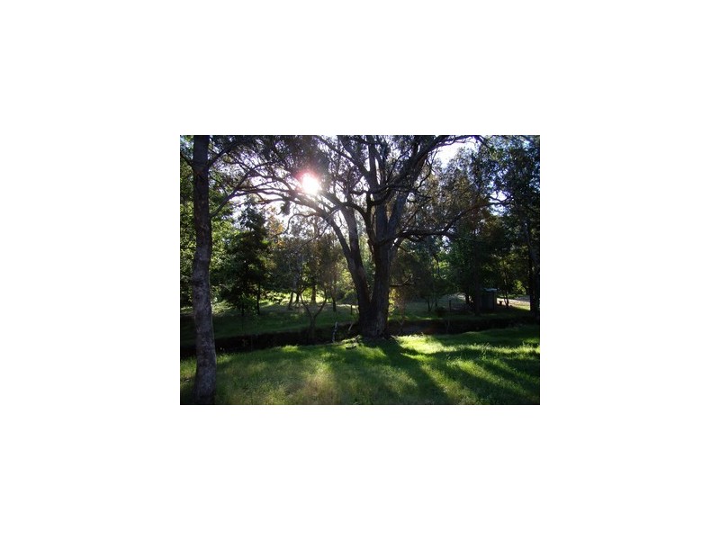 15 Dunnet Road, Nannup WA 6275