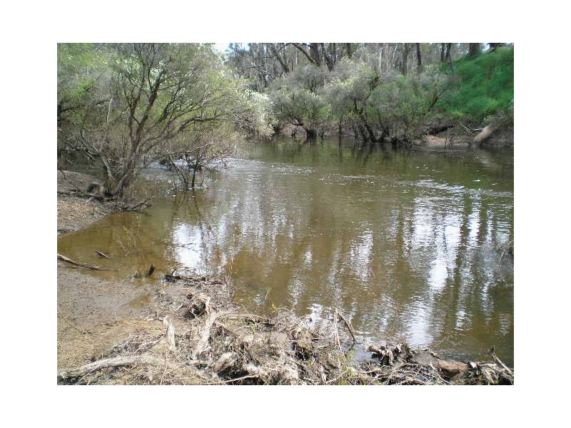 13 Denny Road, Nannup WA 6275