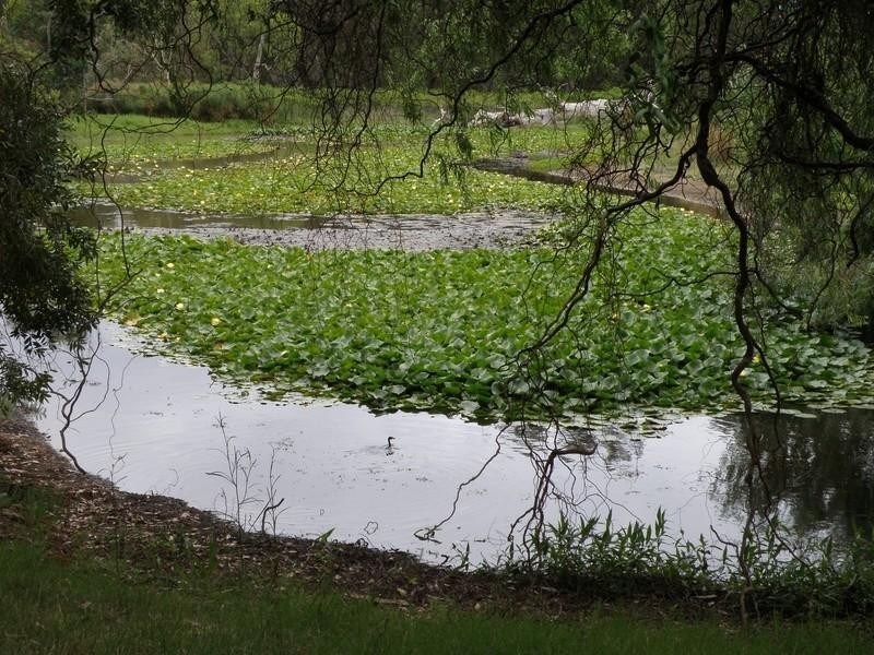 Lot 3/10 North, Nannup WA 6275