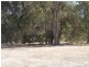 Lot 38 Valley Way, Nannup WA 6275