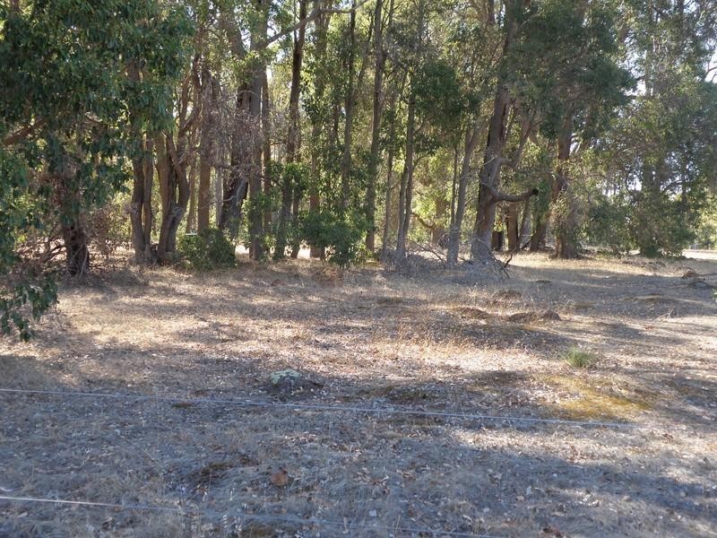 Lot 38 Valley Way, Nannup WA 6275