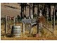. loc 00025 Tanjanerup, Nannup WA 6275