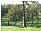 Lot 11075 Nelson Location, Nannup WA 6275