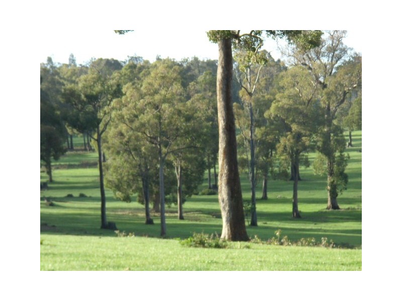 Lot 11075 Nelson Location, Nannup WA 6275
