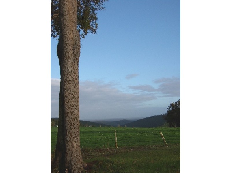 Lot 11075 Nelson Location, Nannup WA 6275