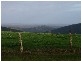 Lot 11075 Nelson Location, Nannup WA 6275