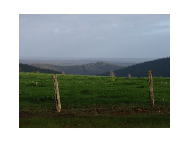 Lot 11075 Nelson Location, Nannup WA 6275