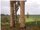 Lot 11075 Nelson Location, Nannup WA 6275