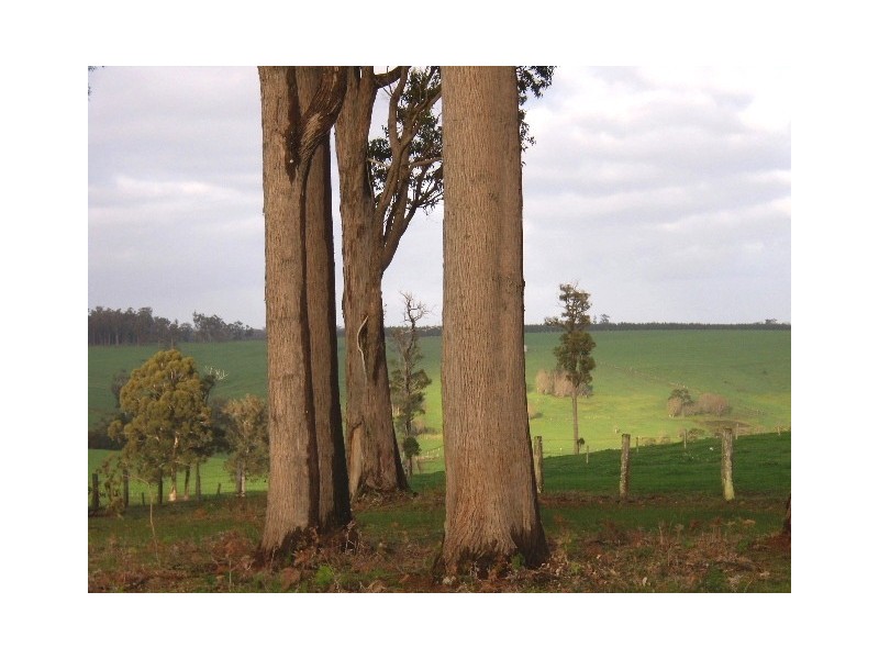 Lot 11075 Nelson Location, Nannup WA 6275