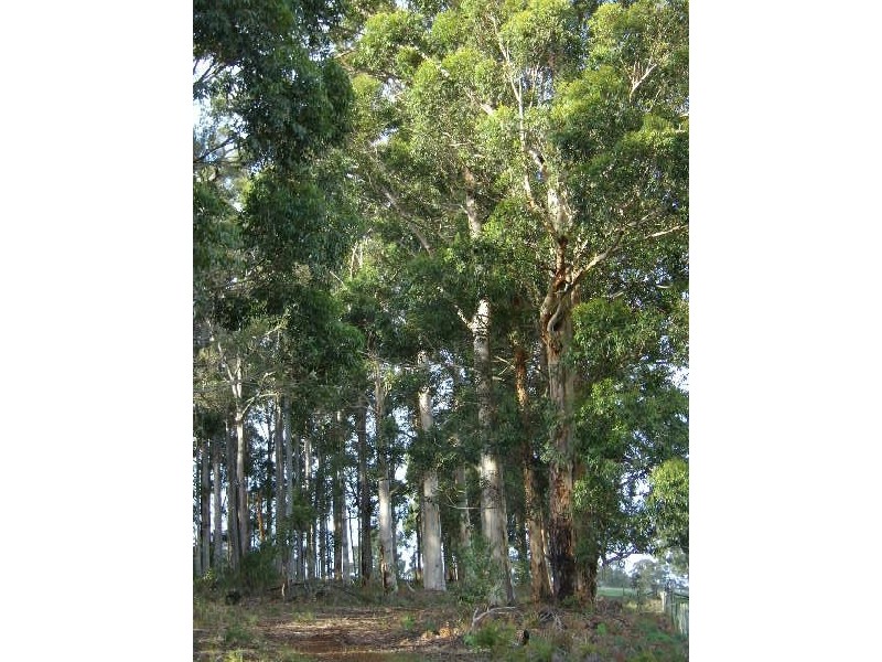 Lot 11075 Nelson Location, Nannup WA 6275