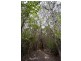 Nannup WA 6275
