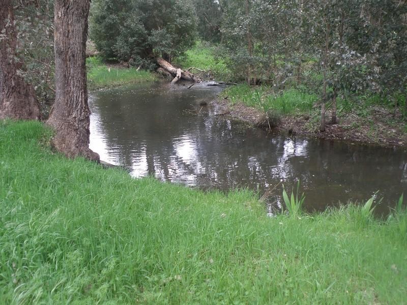 Lot 177 Vasse Highway, Nannup WA 6275