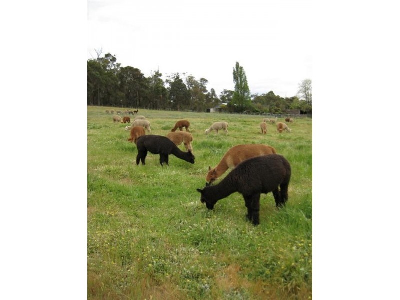 Lot 177 Vasse Highway, Nannup WA 6275