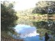 Nannup WA 6275