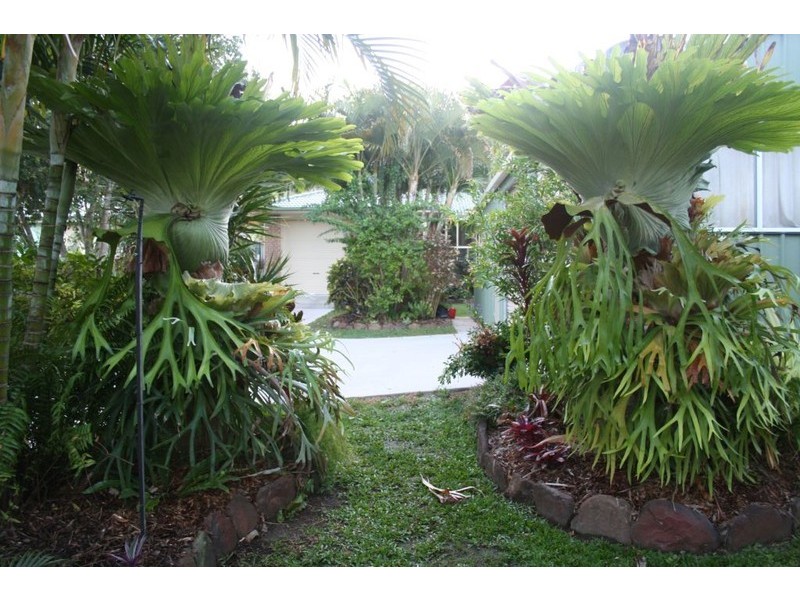 2134 Yakapari-Seaforth Road, Seaforth QLD 4741