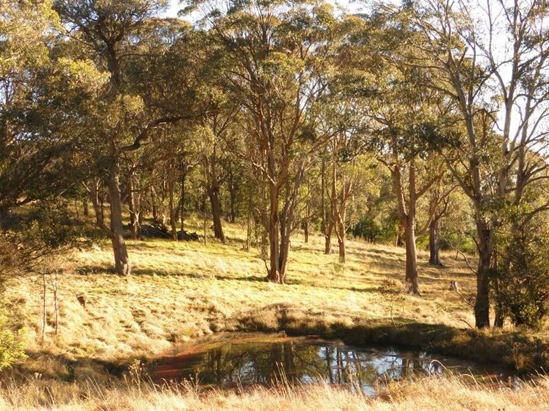 Black Mountain NSW 2365