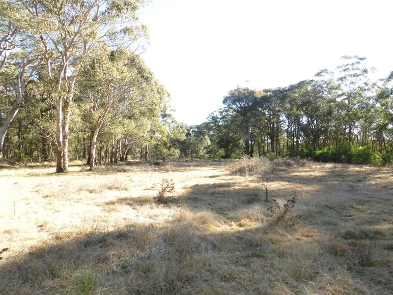 Black Mountain NSW 2365