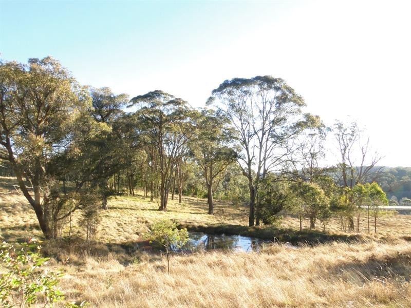 Black Mountain NSW 2365