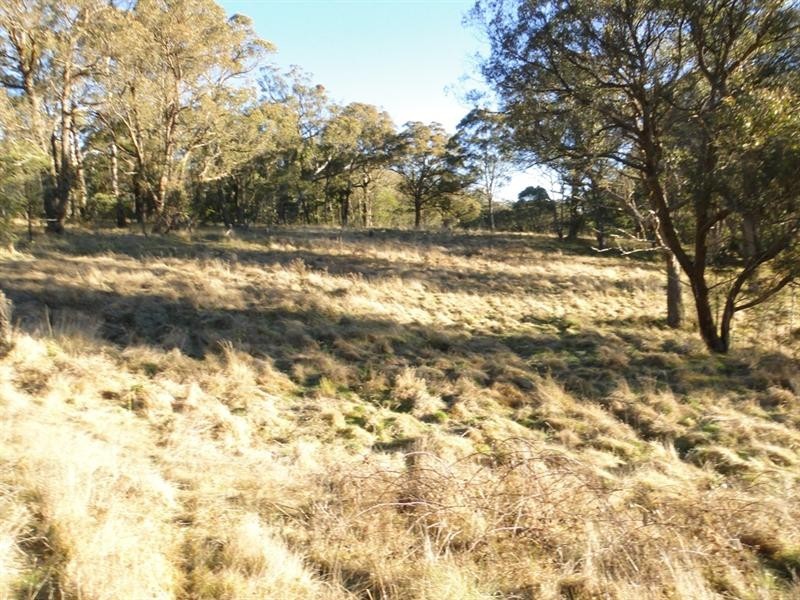 Black Mountain NSW 2365