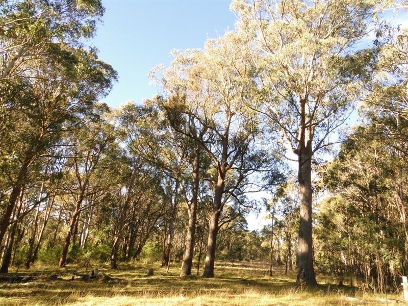 Black Mountain NSW 2365