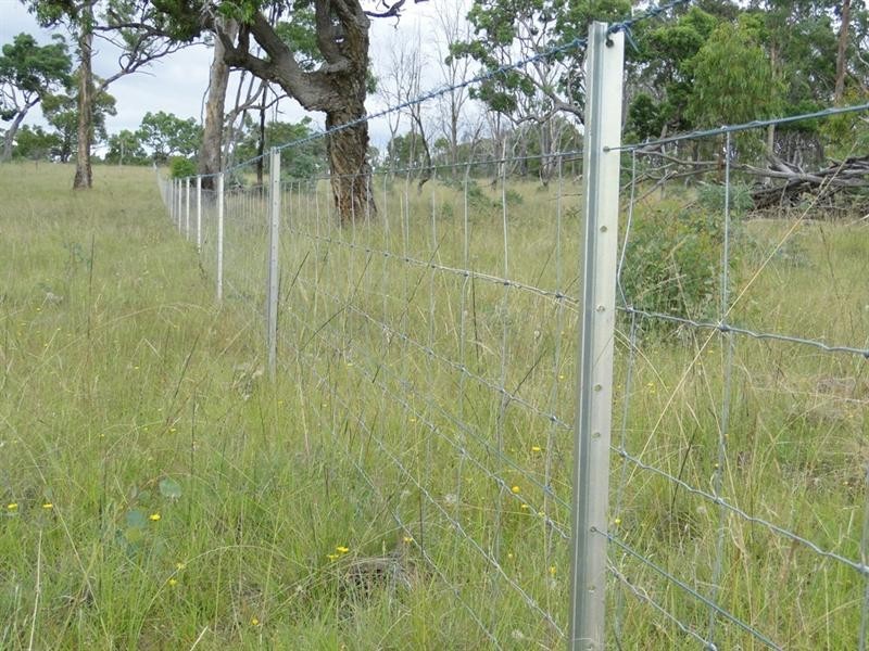 3000 Baldersleigh Road, Guyra NSW 2365