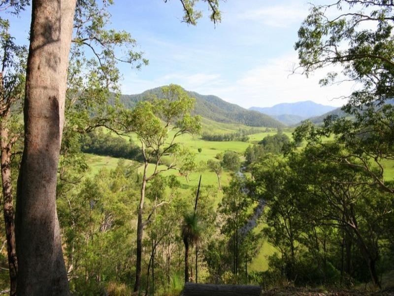 Lower Creek NSW 2440