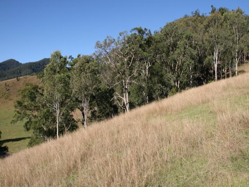 Lower Creek NSW 2440