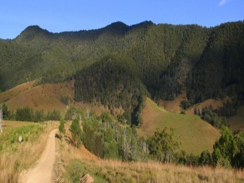 Lower Creek NSW 2440