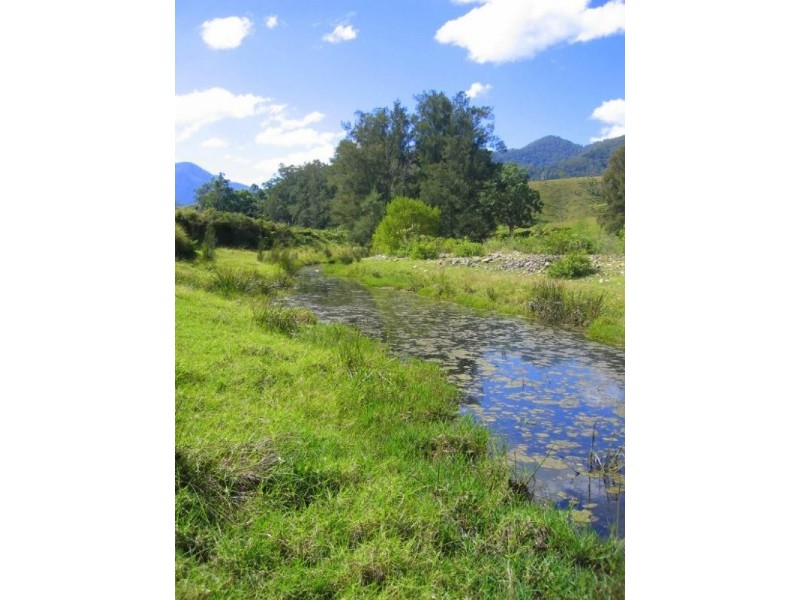 Lower Creek NSW 2440