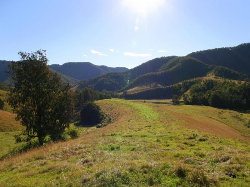 Lower Creek NSW 2440