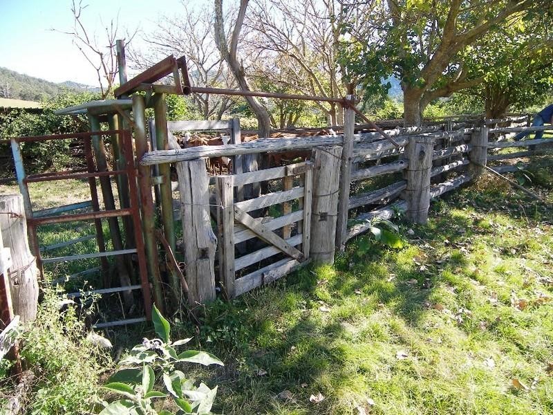 Lower Creek NSW 2440